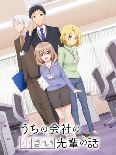 公司的小小前辈