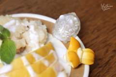 Mini芒果糯米-资料图