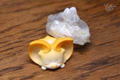 Mini芒果糯米-资料图