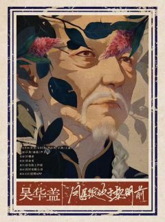 凤尾绽放于黎明前-资料图