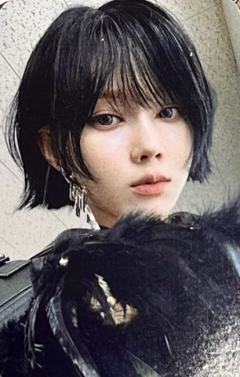 kpopnara冬