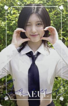 d社固配官拍卡 秋 ver.B