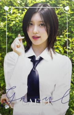 d社固配官拍卡 秋 ver.A