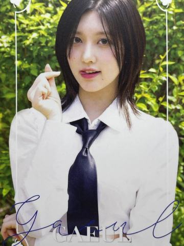 d社固配官拍卡 秋 ver.A