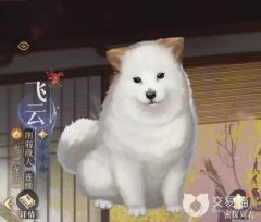 飞云
