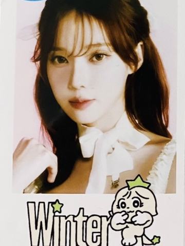 日本展会拍立得 冬