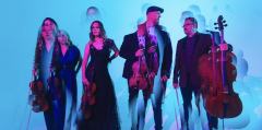 Vitamin String Quartet  The Music of Taylor Swift, Bridgerton, and Beyond