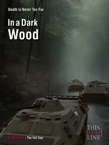 In a Dark Wood