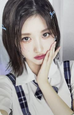 黑胶 秋