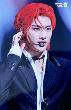 24日本fc dvd塔店4