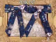 PUNK CAT 朋克猫 系列-资料图