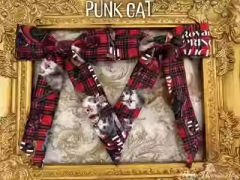 PUNK CAT 朋克猫 系列-资料图