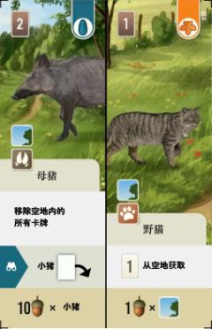 母猪、野猫