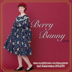 Berry Bunny 蓝莓兔 系列-资料图