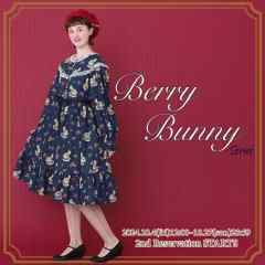Berry Bunny 蓝莓兔 系列-资料图