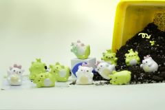 wink熊-资料图