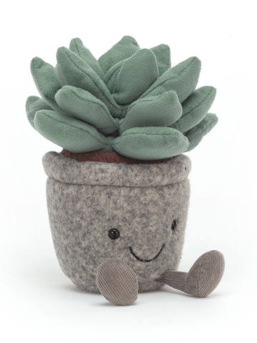 Silly Succulent Azulita