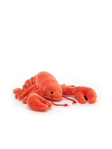 美味海鲜红龙虾