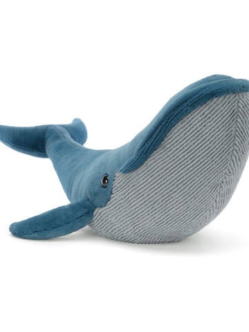 了不起的吉尔伯特蓝鲸