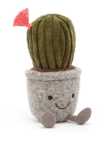 Silly Succulent Barrel Cactus