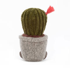 Silly Succulent Barrel Cactus-资料图