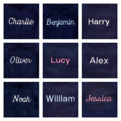 定制刺绣蓝毛衣害羞西班牙猎犬-资料图