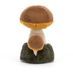 Wild Nature Boletus Mushroom-资料图