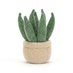 Amuseables Aloe Vera Small-资料图