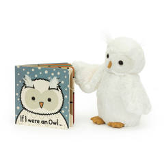 If I Were An Owl Board Book and Bashful Owl Medium-资料图