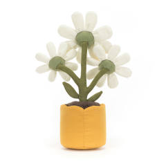 Amuseables Daisy-资料图