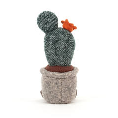 Silly Succulent Prickly Pear Cactus-资料图
