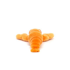 美味海鲜小龙虾-资料图