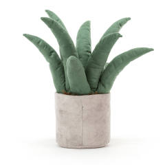 Amuseables Aloe Vera-资料图