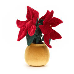 Amuseables Poinsettia-资料图