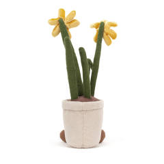 Amuseables Daffodil-资料图