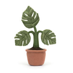 Amuseables Monstera Plant-资料图