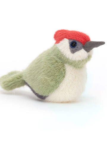 博德林翠鸟蓝绿色