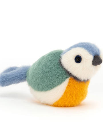 博德林兰山雀蓝色