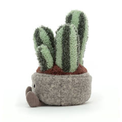 Silly Succulent Columnar Cactus-资料图