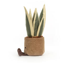 Amuseables Snake Plant-资料图