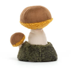 Wild Nature Boletus Mushroom-资料图