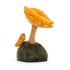 Wild Nature Chanterelle Mushroom-资料图