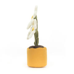Amuseables Daisy-资料图