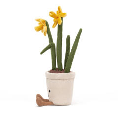 Amuseables Daffodil-资料图