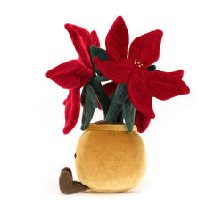 Amuseables Poinsettia-资料图