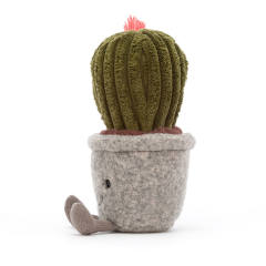 Silly Succulent Barrel Cactus-资料图