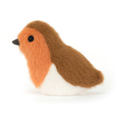 Birdling Robin-资料图