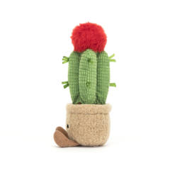 Amuseables Moon Cactus-资料图