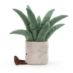 Amuseables Aloe Vera-资料图