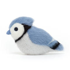 Birdling Blue Jay-资料图
